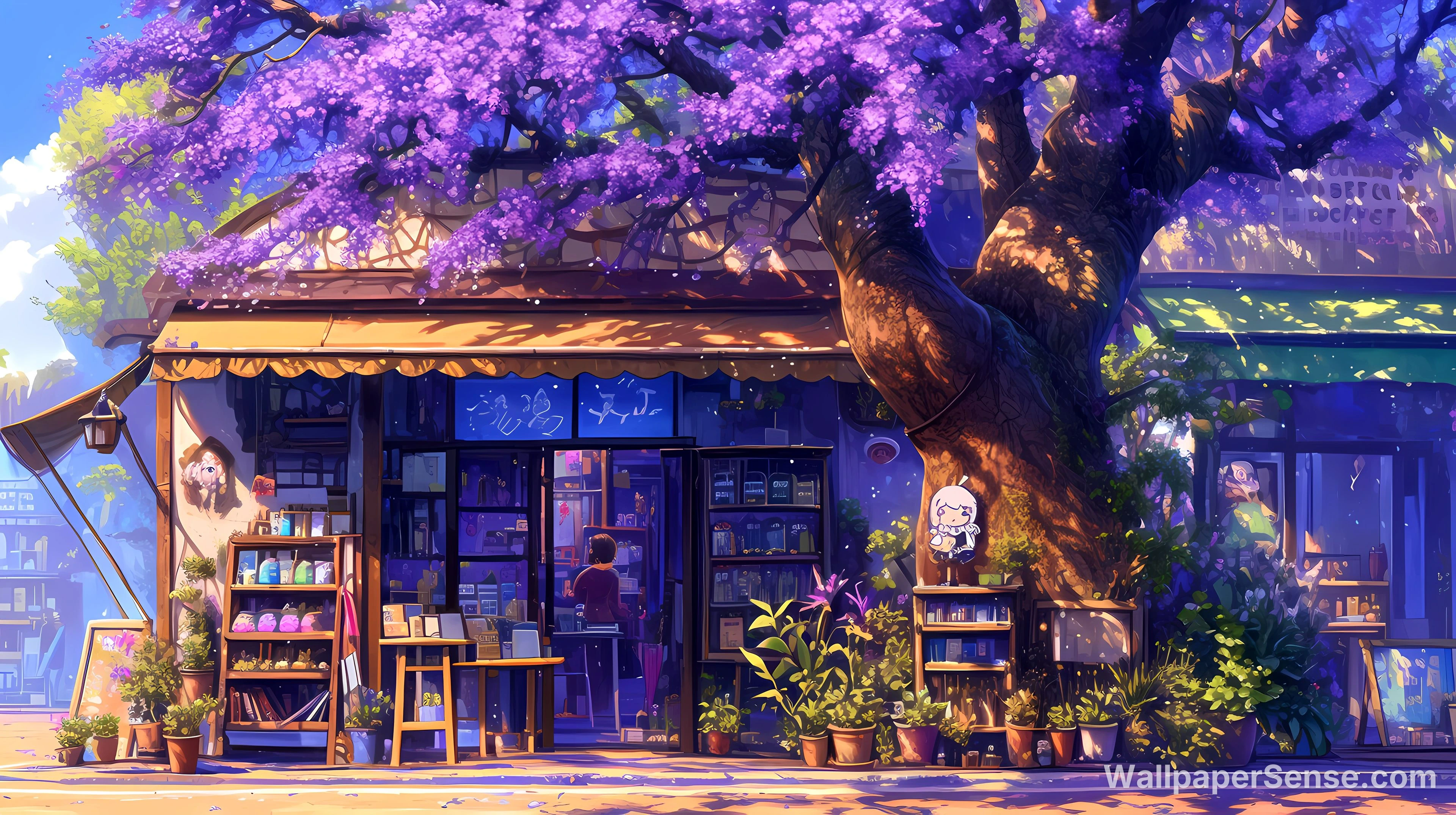 Japanese Cherry Blossom Shop 4K Desktop Wallpaper