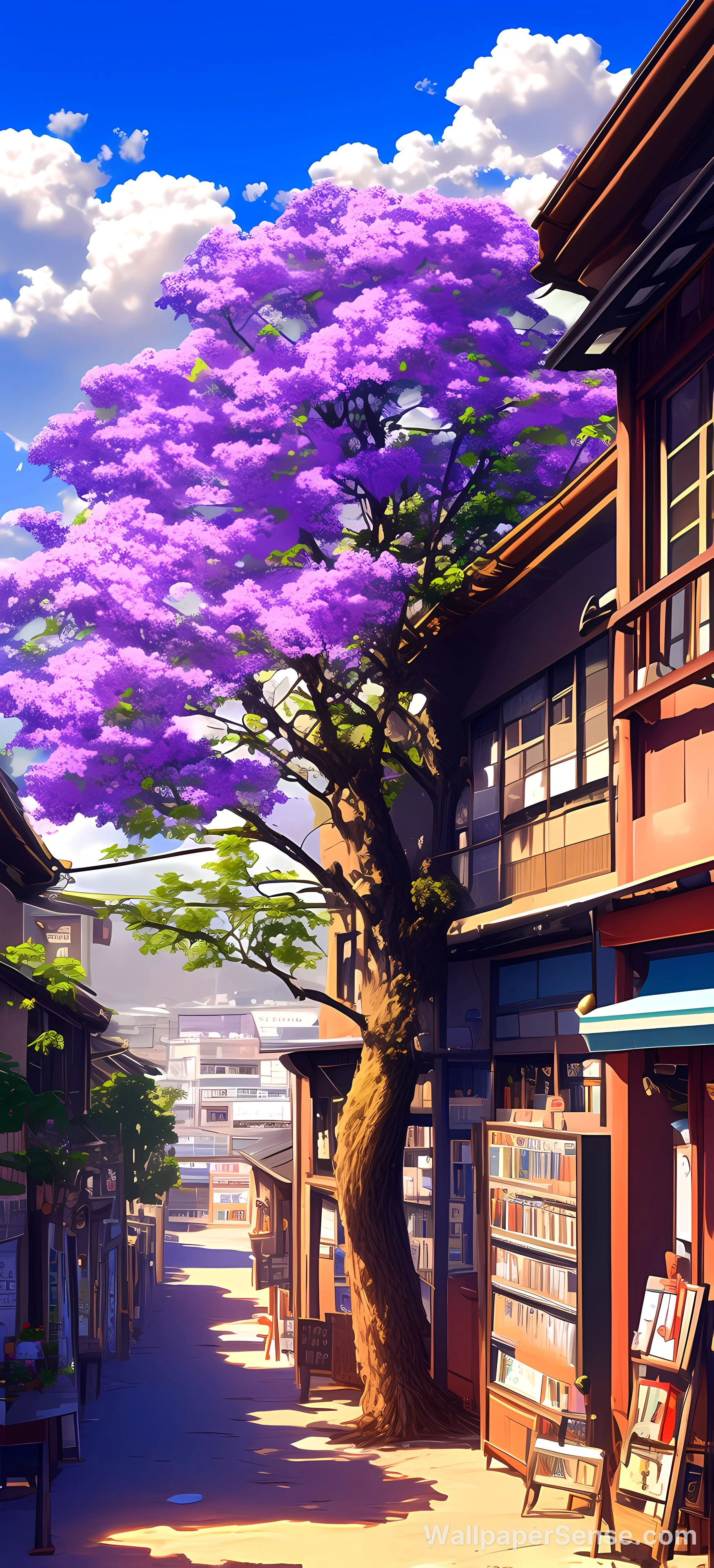 Japanese Cherry Blossom Street 8K Ultra HD Phone Wallpaper
