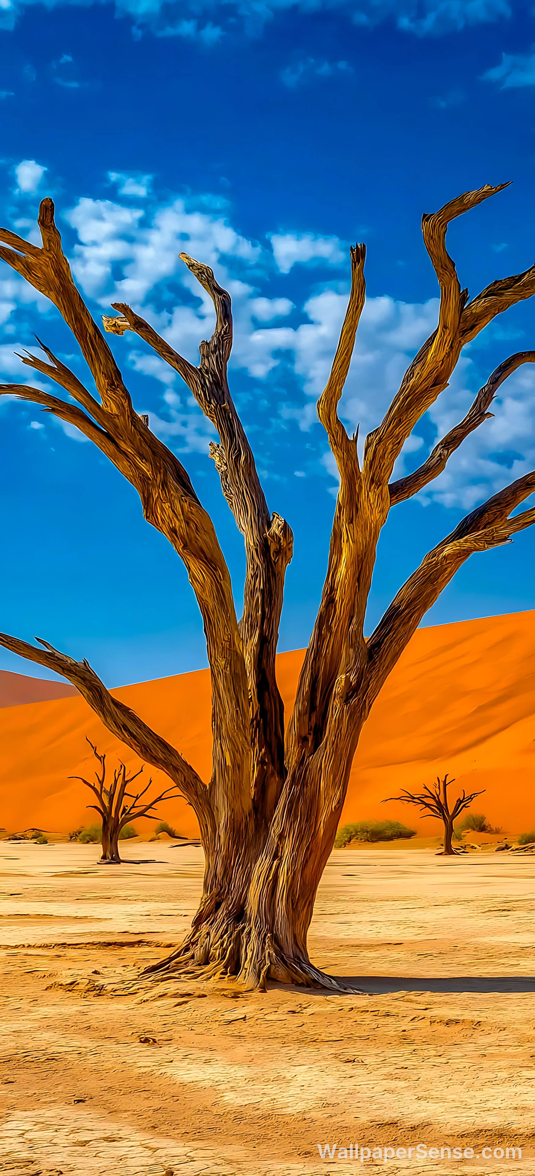 Desert Dead Tree 8K Ultra HD Phone Wallpaper