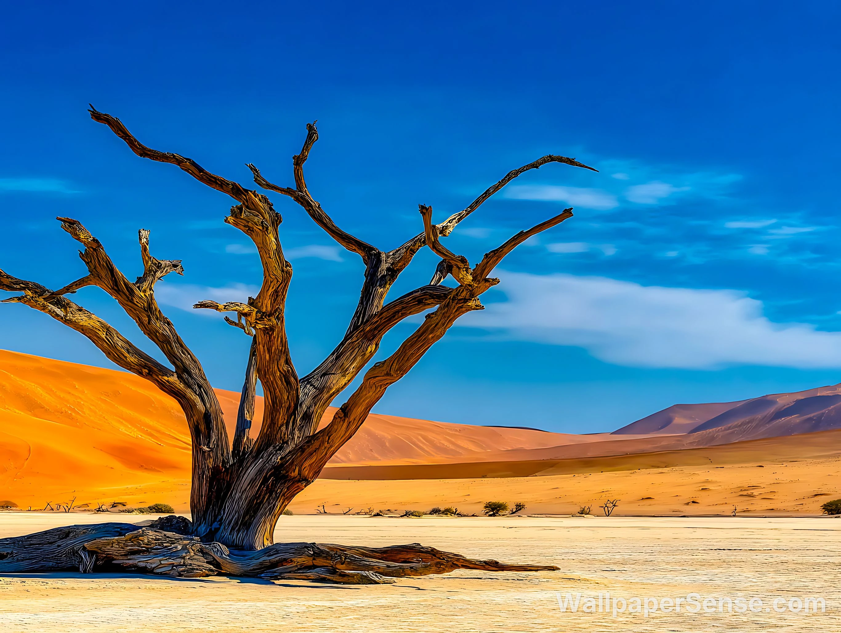 Desert Dead Tree 4K Desktop Wallpaper